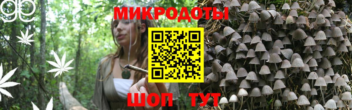 Галлюциногенные грибы Magic Shrooms Северобайкальск