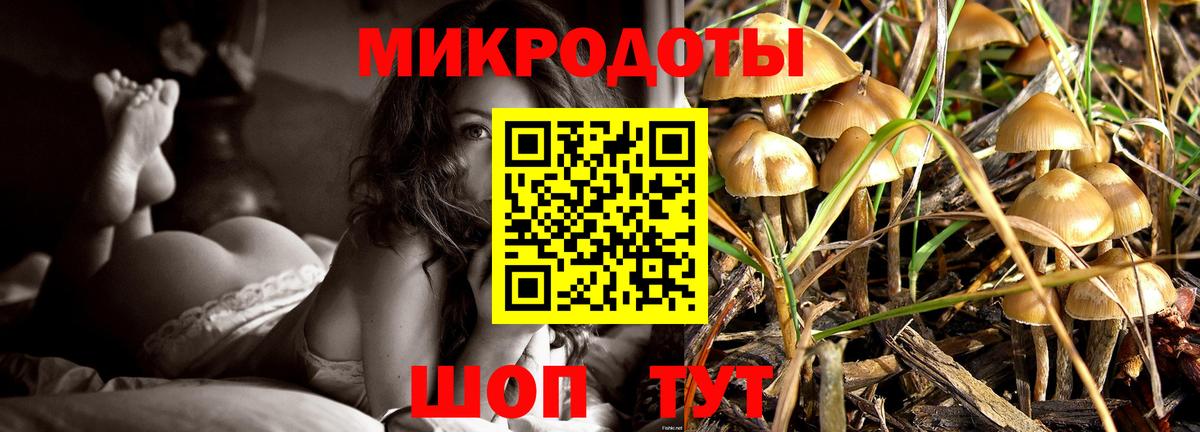 Северобайкальск  наркота  Вход с VPN  Псилоцибиновые грибы Cubensis 